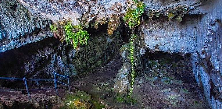 Cueva de El Pindal: visitas suspendidas temporalmente por precaución ante niveles detectados de gas radón