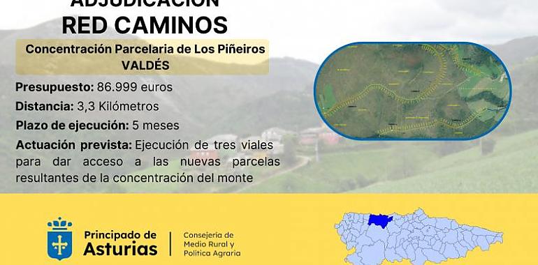 Se adjudican las obras de la red de caminos de la concentración parcelaria de Los Piñeiros por 87.000 euros