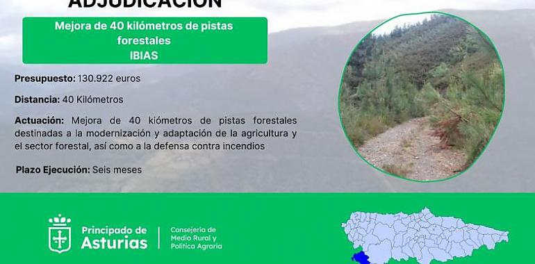 Reparación de 40 kilómetros de pistas en los montes de Ibias: Un proyecto de 130.000 euros para modernizar la agricultura y la defensa contra incendios