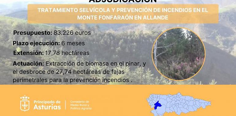 Inversión pública de 83.226 euros para mejorar el monte Fonfaraón y prevenir incendios forestales