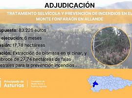 Inversión pública de 83.226 euros para mejorar el monte Fonfaraón y prevenir incendios forestales