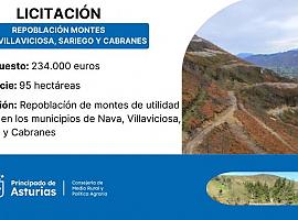 Medio Rural invierte 234.000 euros en la repoblación de montes en Nava, Villaviciosa, Sariego y Cabranes