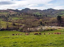 Se destaca el impacto esencial de los Fondos Europeos de la PAC para agricultores y ganaderos asturianos