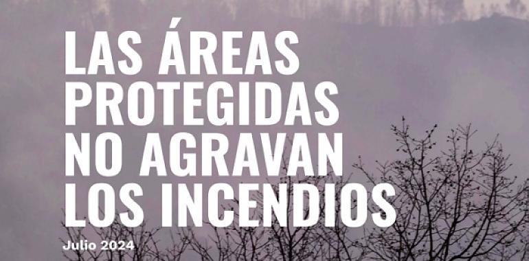 Desmontando mitos: Las áreas protegidas no agravan los incendios, afirma Greenpeace