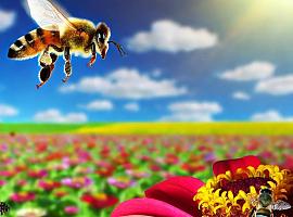 ¿Sabes lo que le cuesta a una abeja fabricar un kilo de miel? Pues visitar 4 millones de flores y dar la vuelta al mundo cinco veces