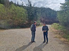 Asturias apuesta por el monte vivo: desbroces, caminos y pastos para recuperar la ganadería extensiva