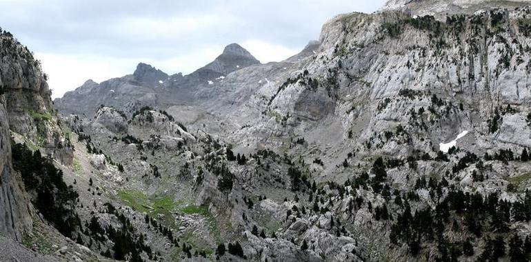 Navarra declara Zona Especial de Conservación tres parajes del Valle de Roncal 