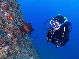  Sumérgete en una aventura inolvidable: haz tu primer bautismo de buceo en Santa Ponsa