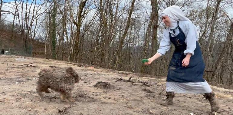Magdalenas, misas y mordiscos: las exmonjas de Belorado reinventan la vida conventual en Asturias con su restaurante de clausura y ahora con un criadero canino