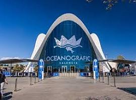 Sumérgete en una aventura única: descubre el Oceanogràfic de Valencia, el mayor acuario de Europa