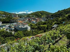 Cangas del Narcea contará con un nuevo centro de salud tres veces más grande y con área de salud mental: primer paso con una licitación de 324.000 euros