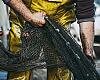 Asturias inyecta un millón de euros al futuro del mar: ayudas para modernizar la flota y asegurar una pesca sostenible de percebe, pulpo, angula y ocle