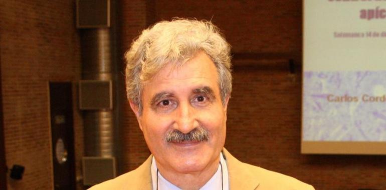 "La calidad de la miel no depende de las abejas, sino de su procesado posterior"