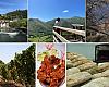 Cangas del Narcea entra en la élite del turismo gastronómico al incorporarse a la Red de Pueblos Gastronómicos de España