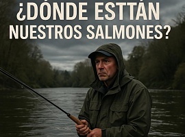  ¿Dónde están nuestros salmones