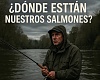  ¿Dónde están nuestros salmones
