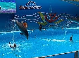 Un verano para recordar: sumérgete en la magia de Zoomarine Algarve