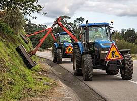 Asturias limpia sus carreteras con una inversión de 3,1 millones: arranca la campaña anual de desbroces para reforzar la seguridad vial