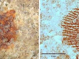 Hallan en Segovia la huella dactilar humana más antigua del mundo, marcada por un neandertal hace 43.000 años