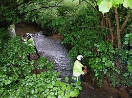 La Confederación Hidrográfica del Cantábrico inicia trabajos de mejora en el río Noreña para prevenir desbordamientos
