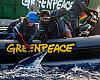Greenpeace libera tiburones capturados por un pesquero español en el Pacífico y denuncia el modelo destructivo de la pesca industrial