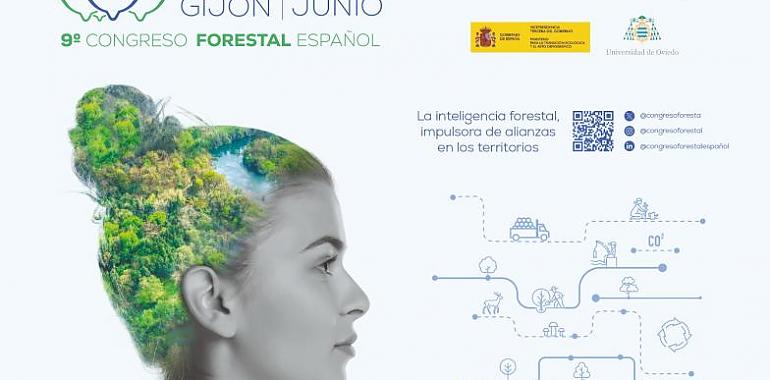 Asturias se convierte en el corazón forestal de España con el Congreso Nacional y la feria Asturforesta