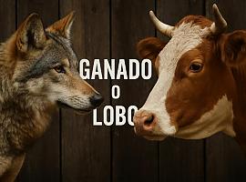 Lobos o ganado: el grito radical por liberar a la Tierra de la explotación animal