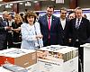 Asturias redobla su lucha contra la peste del pino con nuevas especies resistentes y talas escalonadas para evitar el colapso del mercado