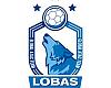 El Lobas Global Atac Oviedo ya conoce su camino en la División de Honor Oro 2025-2026