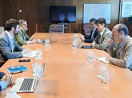 Asturias exige al Gobierno central una red eléctrica moderna para no perder el tren de la descarbonización industrial