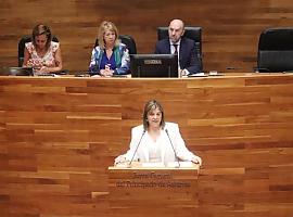 La Ley Simplifica de Llamedo avanza en la Junta como apuesta por una Asturias más ágil y moderna
