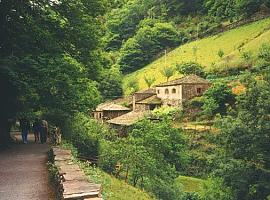 Asturias lanza sus bonos de turismo rural: descuentos de hasta 75 euros para viajar por el paraíso en otoño