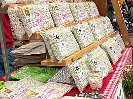 Medio Rural concede una ayuda extraordinaria de 568.000 euros a los productores de faba asturiana y verdina para paliar las pérdidas por las lluvias