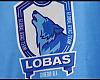 El Lobas Global Atac Oviedo roza el título pero se queda subcampeón en Villacelama