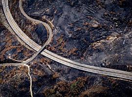 Cambio climático multiplica por 40 la probabilidad de megaincendios en España y Portugal: Greenpeace exige un pacto climático urgente y gravar a la industria fósil