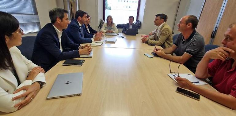 Industria pide “reforzar ya” las redes eléctricas y cambios legales para gestionar mejor la capacidad en Asturias