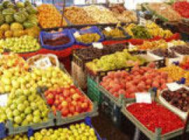 Advierten sobre peligros del libre comercio de alimentos
