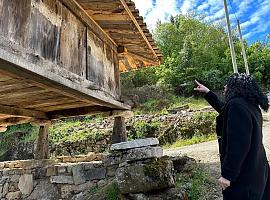 Asturias celebra la declaración de los hórreos del norte peninsular como patrimonio cultural inmaterial en proceso de reconocimiento nacional