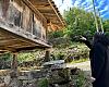 Asturias celebra la declaración de los hórreos del norte peninsular como patrimonio cultural inmaterial en proceso de reconocimiento nacional
