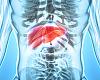 El CSIC abre una nueva vía contra un cáncer de hígado letal: atacar al entorno del tumor en lugar de a las células cancerígenas