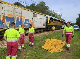 El hallazgo de un cadáver tras el insólito accidente del tren con una vaca sacude Gijón