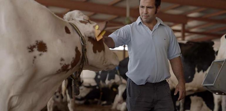 “Te lo Agradece”: la campaña que quiere frenar la España vaciada con un movimiento social en torno a la leche, el queso y el yogur