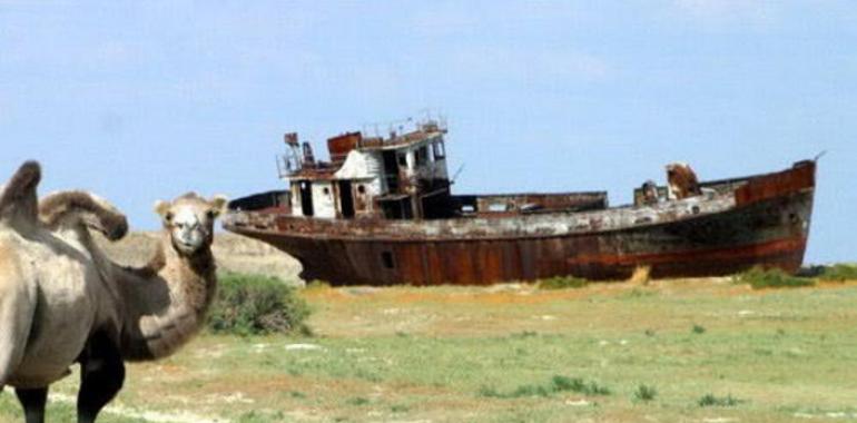 Aral: muerto por nuestra propia mano