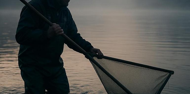 Asturias fija una nueva campaña de la angula con 30 días de pesca para cada profesional y medidas más estrictas de sostenibilidad