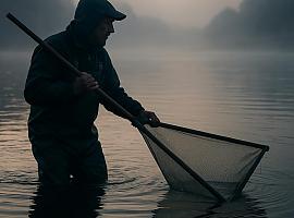 Asturias fija una nueva campaña de la angula con 30 días de pesca para cada profesional y medidas más estrictas de sostenibilidad