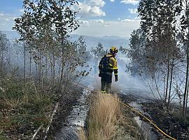 El Monte Areo despierta tras el fuego: 40 hectáreas calcinadas, vigilancia activa y una investigación abierta en Gijón