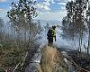El Monte Areo despierta tras el fuego: 40 hectáreas calcinadas, vigilancia activa y una investigación abierta en Gijón