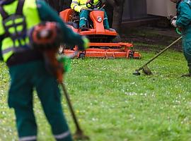 El Sepepa destina 5,3 millones a diez escuelas taller que ofrecerán empleo y formación a 253 jóvenes asturianos durante un año