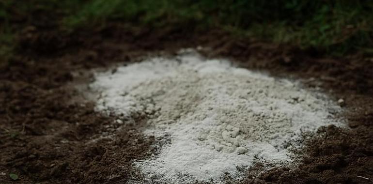 Treinta y cuatro años de silencio: identifican a la joven apuñalada y enterrada en cal viva en Langreo en 1991