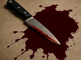 Crimen en Aces (Candamo): una menor mata de una puñalada a su cuñada tras una discusión doméstica que terminó en tragedia